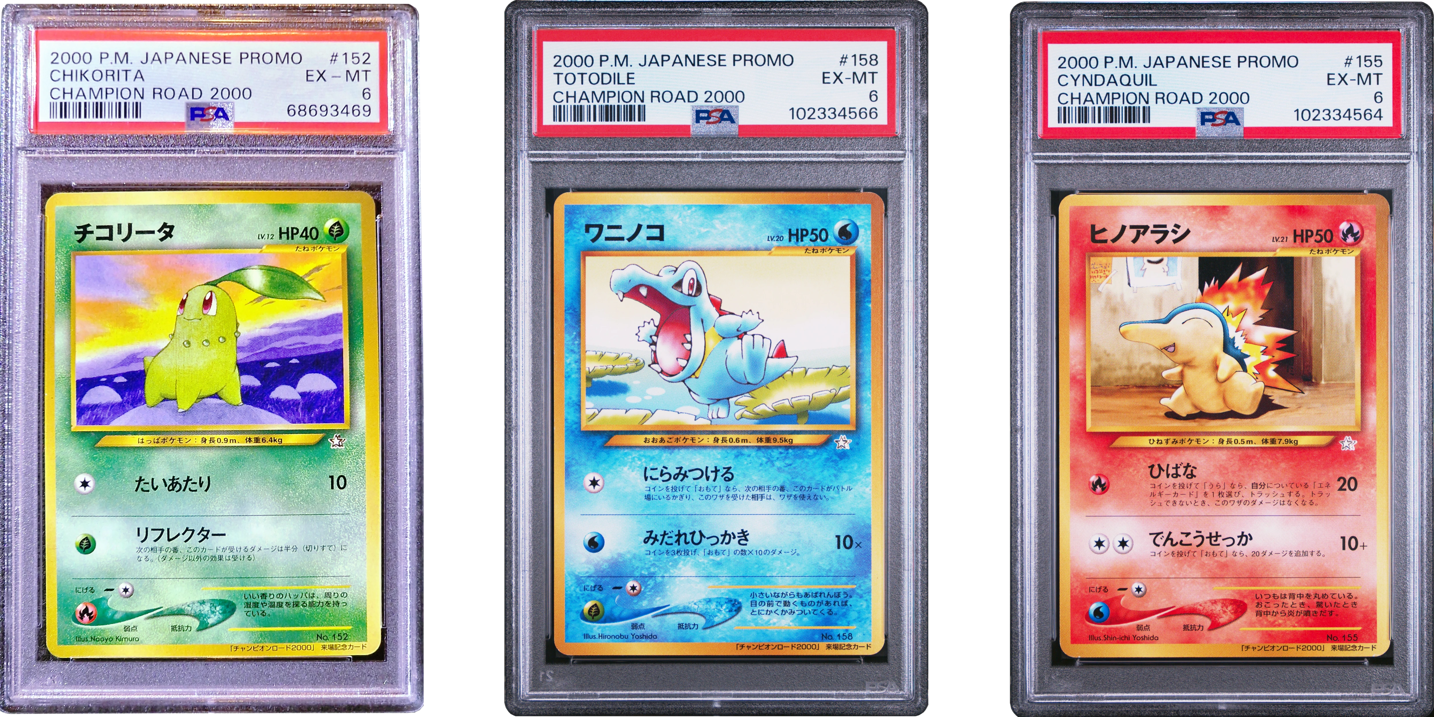 Chikorita, Cyndaquil, Totodile - Champion Road 2000